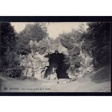 Belgique - Bruxelles - Pont rustique au bois de la Cambre