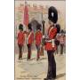 Armée Britannique - Grenadiers Guards - Grande tenue Illustrée par Maurice Tou