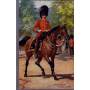 The Coldstream Guards - Field Officer - Review Order Illustrée par Harry Payne