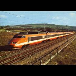 TGV qui dessert depuis octobre 1981 le sud-est de la France à la vitesse de 260km/h - Carte neuve