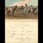 Tunisie - Scenes et types - Cavaliers arabes