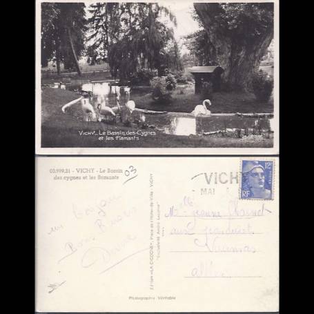 03 - Vichy - Le bassin des cygnes et les flamants