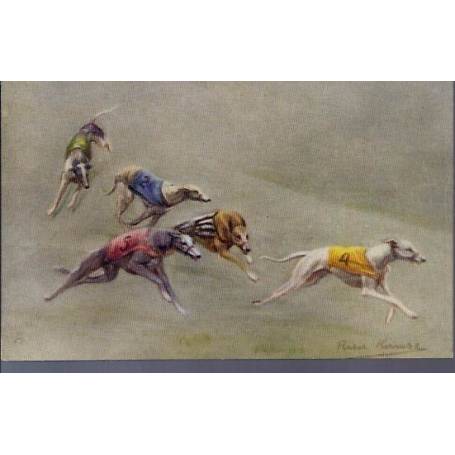 Course de lévriers - Dernier virage - Couleur - Rare - Greyhound Racing