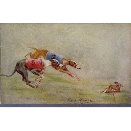 Course de lévriers - L'arrivée - Couleur - Rare - Greyhound Racing