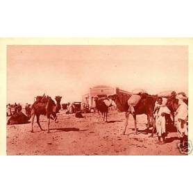 Algerie - Convoi de Chameaux en gare de Touggourt