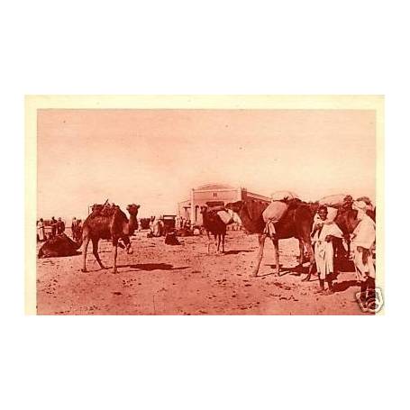 Algerie - Convoi de Chameaux en gare de Touggourt