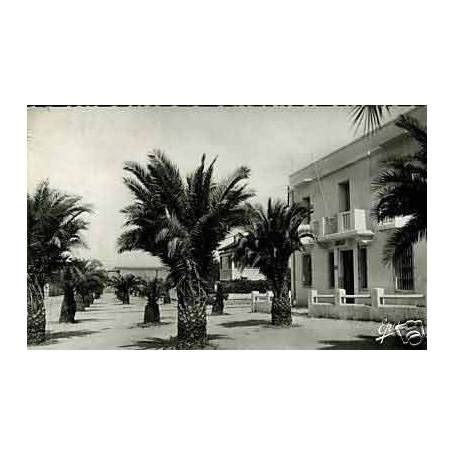 Algerie - Guelma - Rue Zama - CPSM 1957