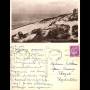 62 - Berck Plage - La mer et les dunes