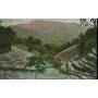 CEYLAN - PADDY FIELDS AND DISTANT VIEW OF THE HILLS