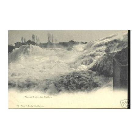 SUISSE - RHEINFALL VON DER FISCHETZ