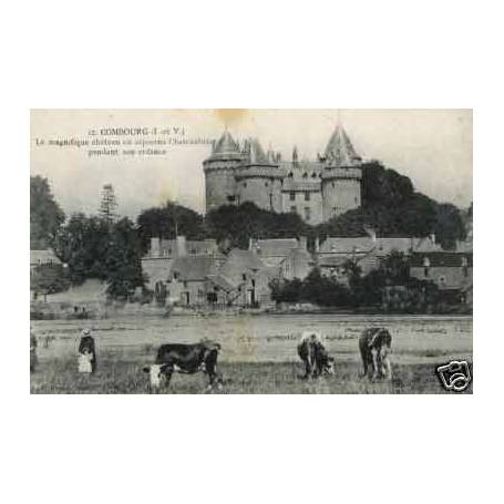 35 - Combourg - Chateau et paturage