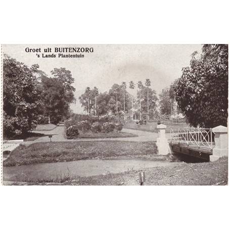 Indes Hollandaises - Buitenzorg