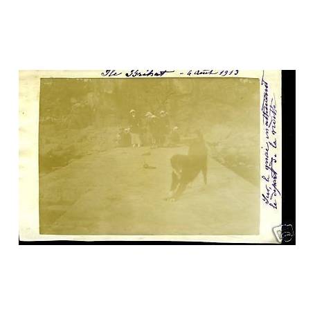 Carte-photo - Ile Brehat - Les quais (22) - 1913