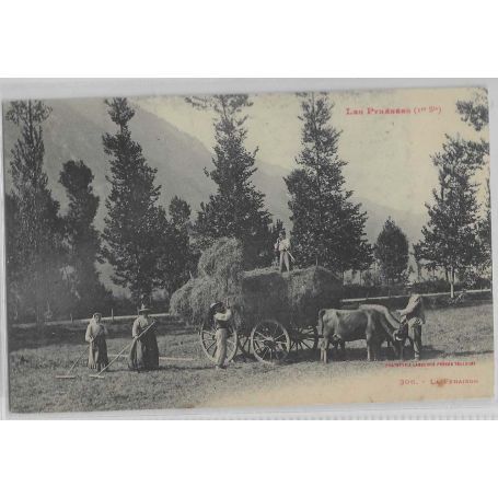 65 - Les Pyrénées - Scène de fenaison avec chariot de foin et bufs