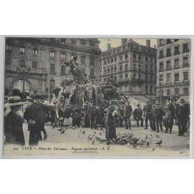 69 Lyon - Place des Terreaux, Pigeons apprivoisés