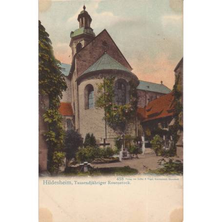 Allemagne - Hildesheim, Tausendjahriger Rosenstock