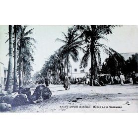 Sénégal - St Louis - Repos de la Caravane