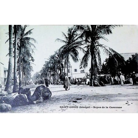 Sénégal - St Louis - Repos de la Caravane