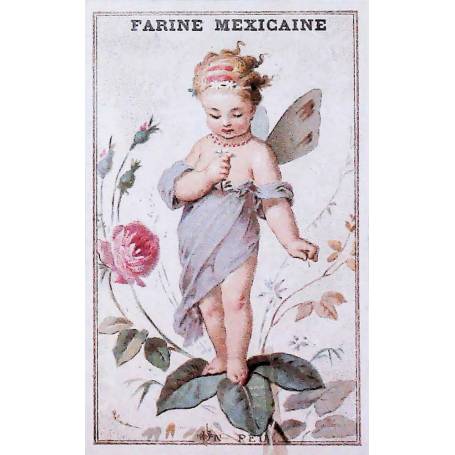 Farine Mexicaine - Un peu