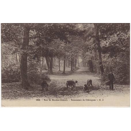 92 - bois de Meudon Clamart - Ramasseurs...