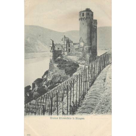 Allemagne - Ruine Ehrenfels b. Bingen