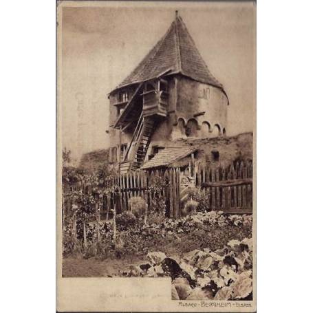 68 - Alsace - Bergheim - Elsass - Maison et son potager  - Non voyagé - Dos di