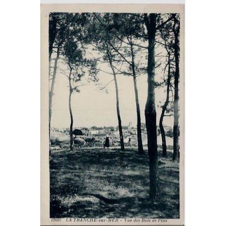 40 - La tranche-sur-Mer - Vue des bois de Pins - Voyagé - Dos divisé