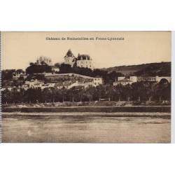 69 - Lyon - Château de rochetaillée en Franc-Lyonnais - Non voyagé - Dos divis