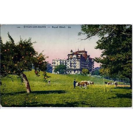 74 - Evian-les-Bains - Royal Hôtel - Voyagé - Dos divisé