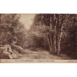 77 - Forêt de Fontainebleau - Le bouquet du Nid de l'Aigle - Non voyagé - Dos 