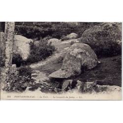 77 - Fontainebleau - La forêt - La casquette du Jockey - Non voyagé - Dos divi