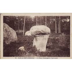 77 - Fontainebleau - La forêt - Le faux champignon d'Apremont - Non voyagé - D