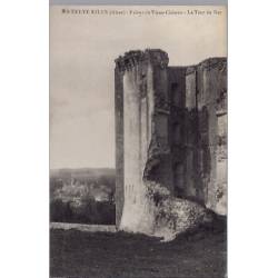 02 - La Ferté-Millon - Ruines du vieux château - La tour du Roi - Non voyagé...
