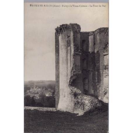 02 - La Ferté-Millon - Ruines du vieux château - La tour du Roi - Non voyagé...