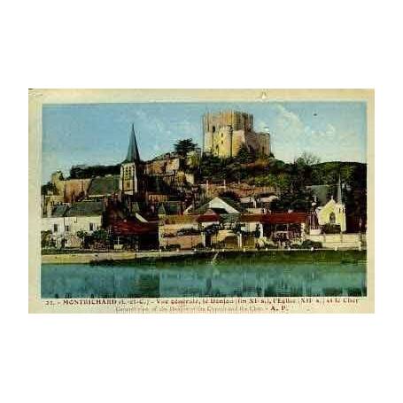 41 - MONTRICHARD - VUE GENERALE - LE DONJON