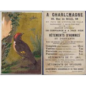 Chromo - A. Charlemagne - Le chardonneret - Paris - Etat moyen - 10 cm