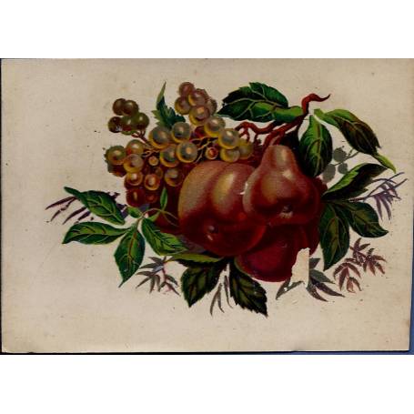 Chromo - Fleurs et fruits I - Bon état - 9 cm x 13 cm