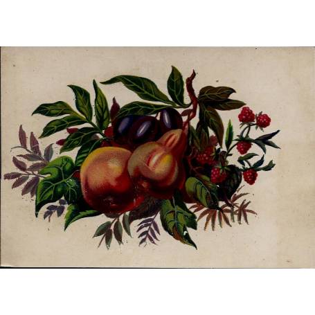 Chromo - Fleurs et fruits III - Bon état - 9 cm x 13 cm