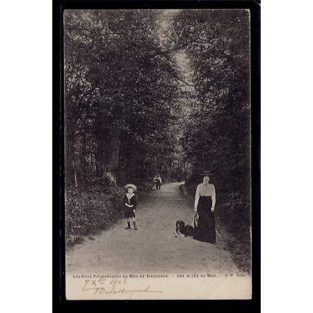 94 - Bois de Vincennes - Une allée du Bois - Voyagé - Dos non divisé