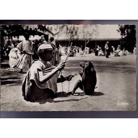 Algérie - Scènes et types - Jeune dresseur de singe - Beau plan - CPSM